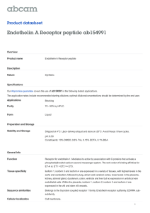 Endothelin A Receptor peptide ab154991 Product datasheet Overview Product name
