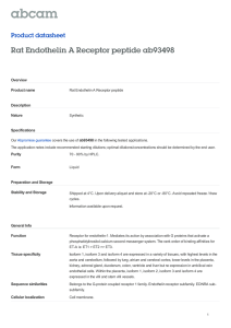 Rat Endothelin A Receptor peptide ab93498 Product datasheet Overview Product name