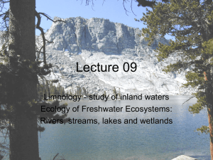 Lecture 09