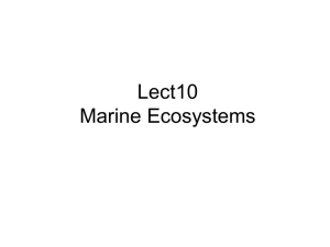 Lect10 Marine Ecosystems