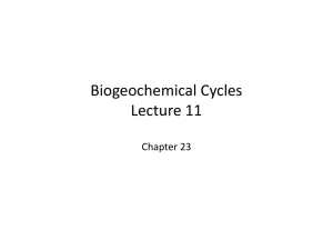 Biogeochemical Cycles Lecture 11 Chapter 23