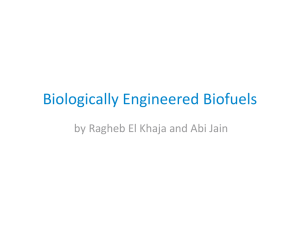 Biologically Engineered Biofuels by Ragheb El Khaja and Abi Jain