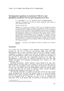 Developmental regulation of cytochrome P-450 (b+e) and