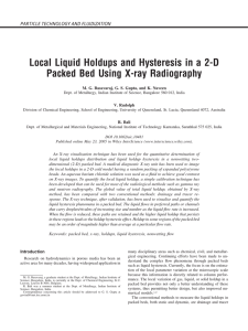 Local Liquid Holdups and Hysteresis in a 2-D