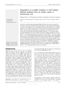 Acquisition of a stable mutation in metY allows Escherichia coli