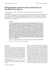 Phylogeography, genetic structure, and diversity in the dhole ( )