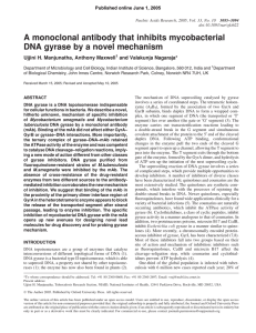 A monoclonal antibody that inhibits mycobacterial Ujjini H. Manjunatha, Anthony Maxwell