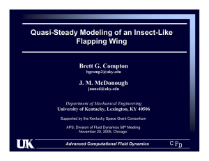 Quasi - Steady Modeling of an Insect Like