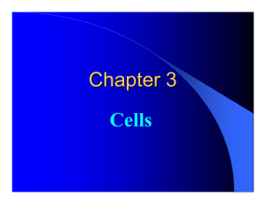 Chapter 3 Cells