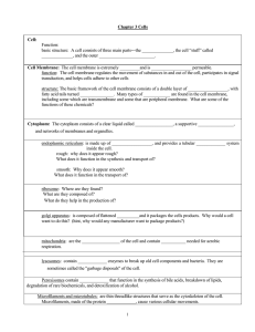 Chapter 3 Cells Cell: Function: