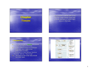 Chapter Tissues
