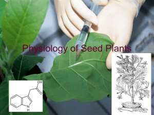 Physiology of Seed Plants