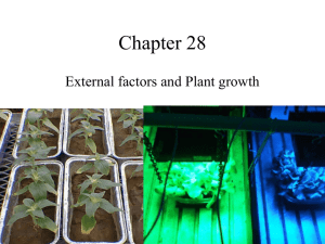 Chapter 28 External factors and Plant growth