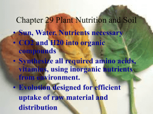 Chapter 29 Plant Nutrition and Soil