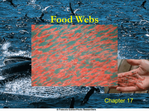 Food Webs Chapter 17 1