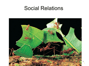 Social Relations 1