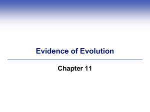 Evidence of Evolution Chapter 11
