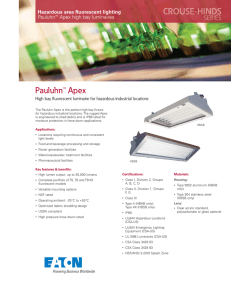 Pauluhn™ Apex Hazardous area fluorescent lighting Pauluhn Apex high bay luminaires