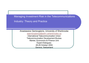 Managing Investment Risk in the Telecommunications Industry: Theory and Practice