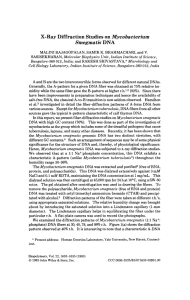 X-Ray Diffraction Studies DNA Mycobacterium Smegmatis