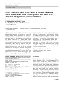 Leymus (Triticeae): Genes controlling plant growth habit in