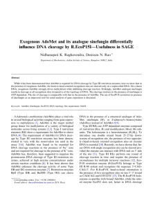 Exogenous AdoMet and its analogue sinefungin diﬀerentially