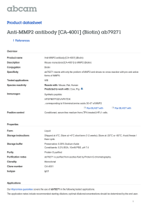 Anti-MMP2 antibody [CA-4001] (Biotin) ab79271 Product datasheet 1 References Overview