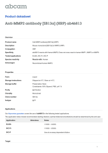 Anti-MMP2 antibody [SB13a] (HRP) ab46813 Product datasheet Overview Product name