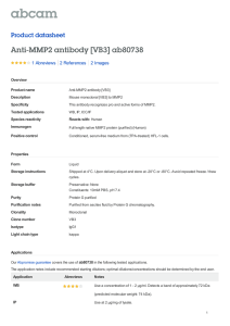 Anti-MMP2 antibody [VB3] ab80738 Product datasheet 1 Abreviews 2 Images