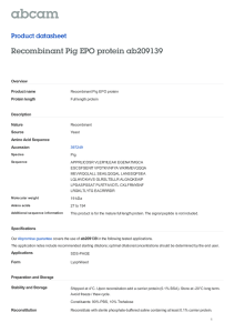 Recombinant Pig EPO protein ab209139 Product datasheet Overview Product name