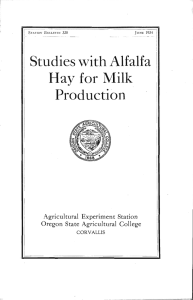 Hay for Milk Production Studies with Alfalfa Agricultural Experiment Station