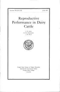 Performance in Dairy Reproductive Cattle Oregon State System of Higher Education