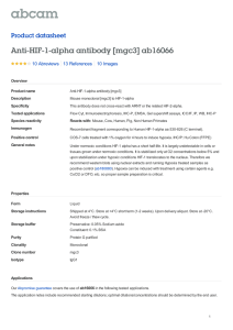 Anti-HIF-1-alpha antibody [mgc3] ab16066 Product datasheet 10 Abreviews 10 Images