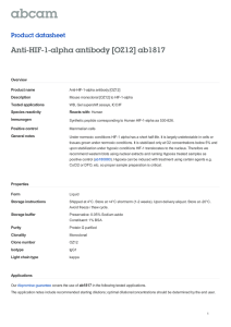 Anti-HIF-1-alpha antibody [OZ12] ab1817 Product datasheet Overview Product name