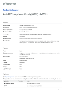Anti-HIF-1-alpha antibody [OZ12] ab80521 Product datasheet Overview Product name