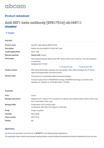 Anti-HIF1 beta antibody [EPR17516] ab184711 Product datasheet 5 Images Overview