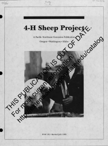 4-H Sheep Project DATE. OF OUT