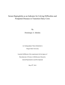 Serum Haptoglobin as an Indicator for Calving Difficulties and
