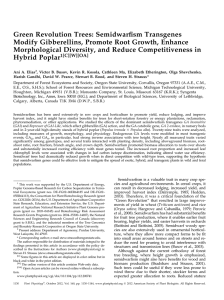ﬁsm Transgenes Green Revolution Trees: Semidwar Modify Gibberellins, Promote Root Growth, Enhance