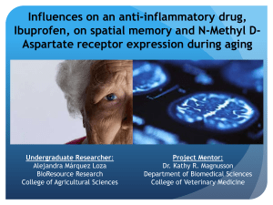 Influences on an anti-inflammatory drug, Aspartate receptor expression during aging