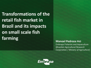 Transformations of the retail fish market in Brazil and its impacts