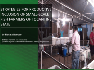 STRATEGIES FOR PRODUCTIVE INCLUSION OF SMALL-SCALE FISH FARMERS OF TOCANTINS STATE