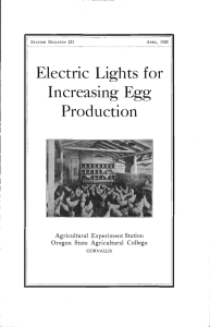 Electric Lights for Increasing Egg Production Agricultural Experiment Station
