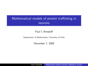 Mathematical models of protein trafficking in neurons Paul C Bressloff December 7, 2008