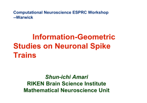 Information-Geometric Studies on Neuronal Spike Trains Shun-ichi Amari