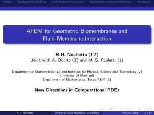 Models Gradient (Helfrich) Flows Fluid-Membrane Interaction Geometrically Consistent Refinement