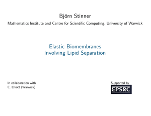 Bj¨ orn Stinner Elastic Biomembranes Involving Lipid Separation