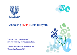 Modelling Lipid Bilayers (Skin)