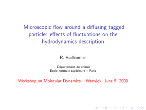 Microscopic flow around a diffusing tagged hydrodynamics description