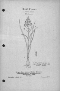 Death Camas Oregon State System of Higher Education Federal Cooperative Extension Service